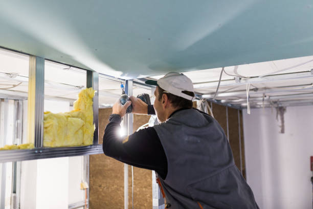 Best Commercial Insulation Contractor  in Union Grove, WI