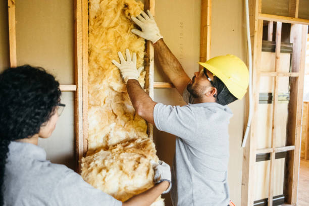 Best Home Insulation Services  in Union Grove, WI