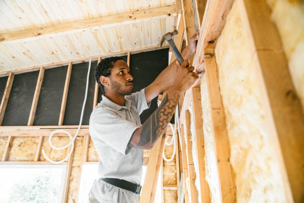 Best Attic Insulation Installation  in Union Grove, WI