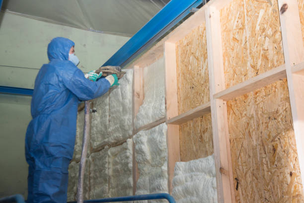 Best Crawl Space Insulation  in Union Grove, WI